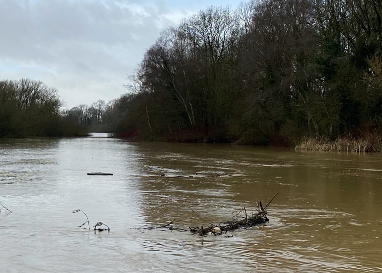 Report Lake Debris